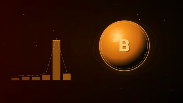 Bitcoin praėjusį savaitgalį krito iki 74 000 dolerių – štai kas iš tikrųjų atsitiko