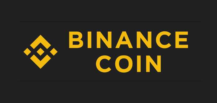 Binance Coin(BNB)