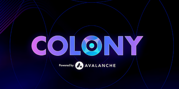 Geriausias defi projektas "Avalanche" blokų grandinėje yra "Colony Lab".
